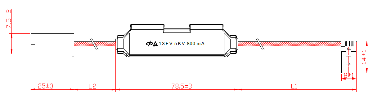 13FV